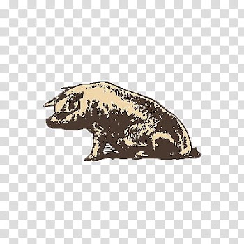 Animals, brown and black pig illustration transparent background PNG clipart