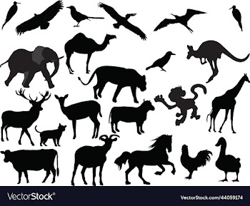 animals domestic and wild