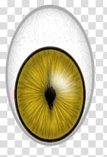 Animals eyes, white and green eye ball transparent background PNG clipart