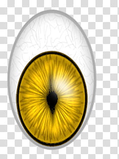 Animals eyes, white and green eye ball transparent background PNG clipart