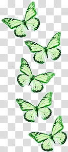 ANIMALS, green butterflies transparent background PNG clipart