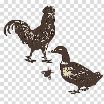 Animals, rooster and duck illustration transparent background PNG clipart