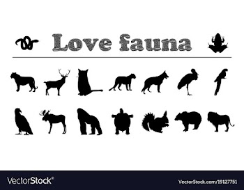 Animals silhouettes love fauna vector image
