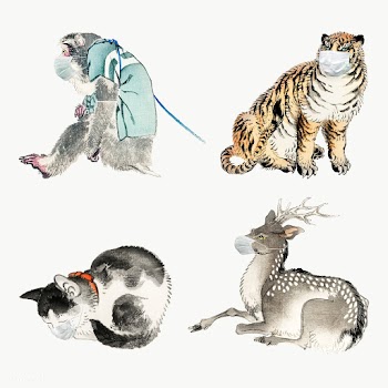 Animals wearing a surgical mask during the coronavirus pandemic | Free  transparent png - 2318628