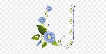 Animated Alphabet Blooms Flowers Page Twenty Eight - Morning Glory Illustration