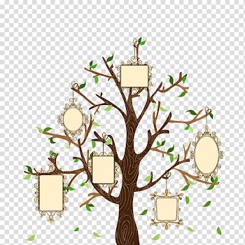 Animated family tree frame illustration, Family tree Euclidean Illustration, Creative family tree transparent background PNG clipart