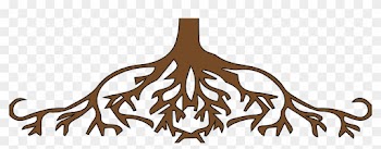 Animated Tree Roots - Parts Of The Tree Roots