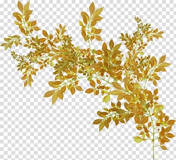Animation Autumn Polyvore, gold flower transparent background PNG clipart