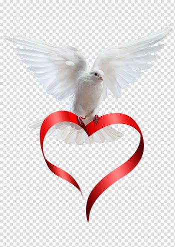 Animation Death , Peace Bird transparent background PNG clipart