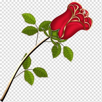 Animation, Golden Rose transparent background PNG clipart