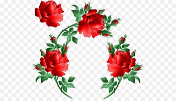 Animation Heart Rose Clip art - red rose border 