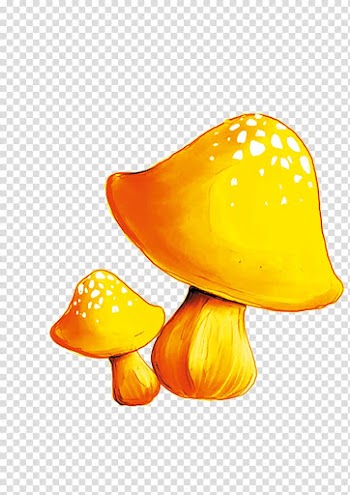 Animation Icon, Cartoon mushroom transparent background PNG clipart