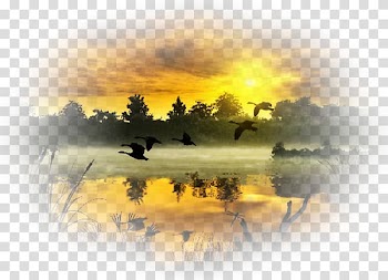 Animation Landscape Desktop , Animation transparent background PNG clipart