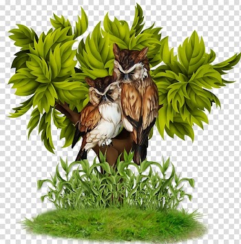 Animation , Owl on a tree transparent background PNG clipart