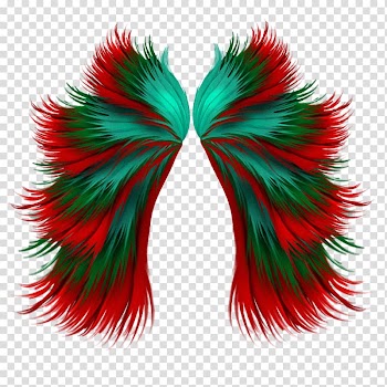 Animation , Red Feather creative transparent background PNG clipart