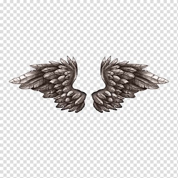 Animation, Related feather wings transparent background PNG clipart