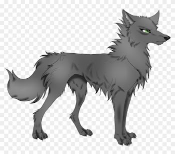 Anime Wolf By Djakal12 - Cartoon Wolf Transparent