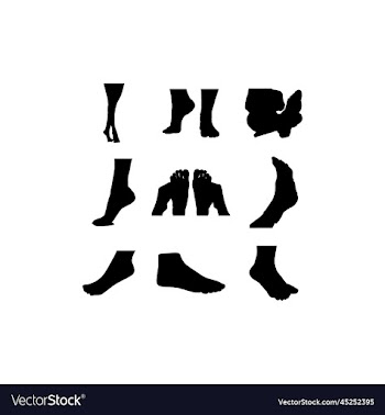ankle leg human collection design