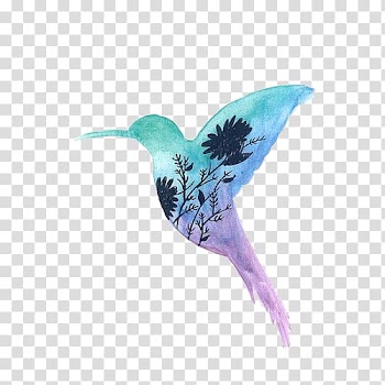 Anna's hummingbird Watercolor painting, Bird transparent background PNG clipart