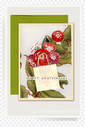 Anniversary Roses Folded Greeting Card - Picture Frame