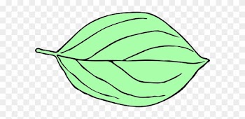 Another Light Green Oval Leaf Clip Art At Clker - Oval Leaf