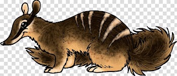Another Numbat, brown animal illustration transparent background PNG clipart