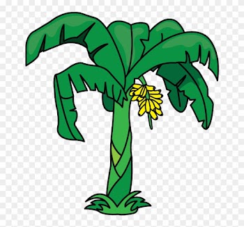 Another Tutorial In Flowers And Plants Category Is - Drawing Of A Banana Tree