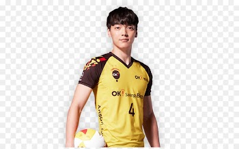 조재성 Ansan OK Savings Bank Rush & Cash Korea Volleyball Federation Jersey 明伦小学 - park jihoon 