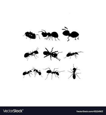 ant animal set design