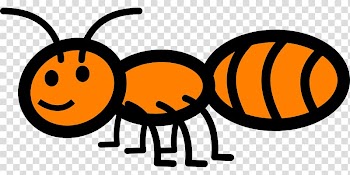 Ant , ants transparent background PNG clipart