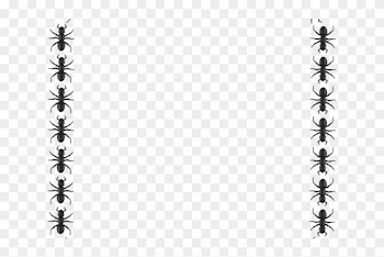 Ant Border Cliparts - Border Of Ants Transparent