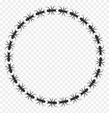 Ant Border Cliparts - Circle Border Design Black And White