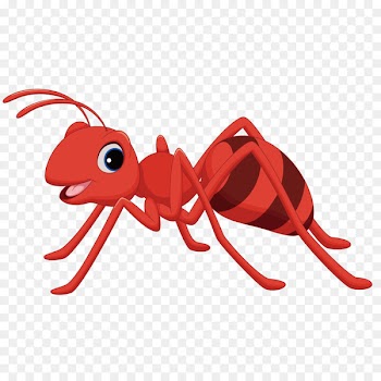 Ant Cartoon Clip art - Red Ants 