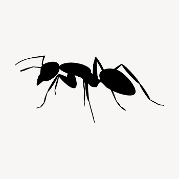 Ant  clipart, black & | Free PSD - rawpixel