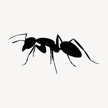 Ant collage element illustration vector. | Free Vector - rawpixel