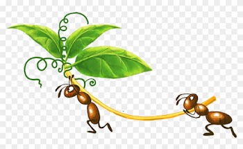 Ant Colony Insect Clip Art - Ant Colony Insect Clip Art