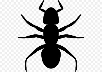 Ant, Encapsulated Postscript, Computer Icons, Pest, Insect PNG