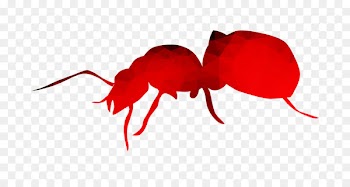 Ant Insect Heart Petal Pollinator -  