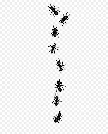Ant, Insect, M 0d, Pest PNG