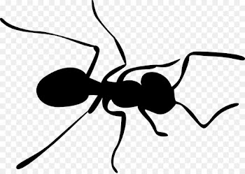 ant insect pest membrane-winged insect cartoon