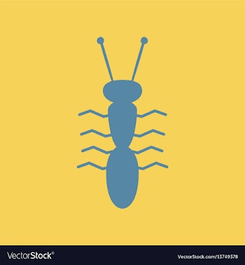 Ant insect vector image
