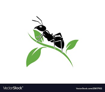 Ant logo template vector image