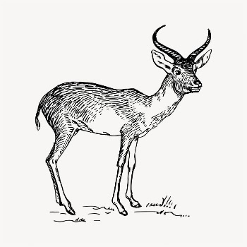 Antelope illustration clipart vector. Free | Free Vector - rawpixel