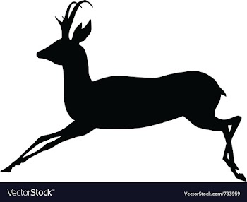  					Antelope vector image														