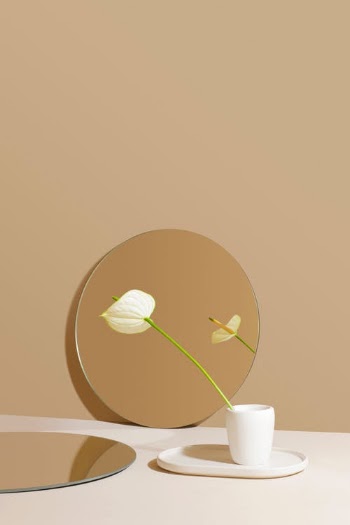 Anthurium still life  · Free Stock Photo