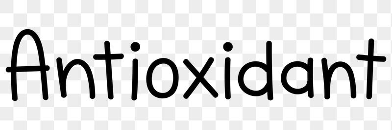 Antioxidant png word sticker typography, | Free PNG - rawpixel