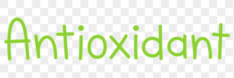 Antioxidant png word sticker typography, | Free PNG - rawpixel