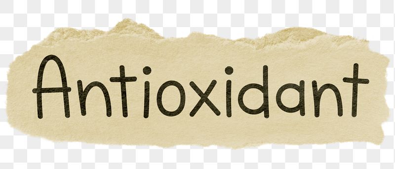 Antioxidant png word sticker typography, | Free PNG - rawpixel