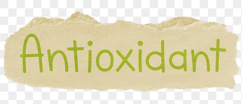 Antioxidant png word sticker typography, | Free PNG - rawpixel