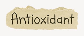 Antioxidant word, torn craft paper | Free PSD - rawpixel